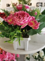 16479556421585389016535131883826