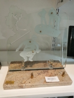 1678896377005210984901117231370