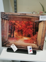 16515683977759178373483908934433