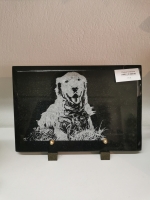 16796511230263657604868301562700