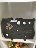 16801845782136165559105026568726