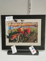 16499375213445387161600532448351